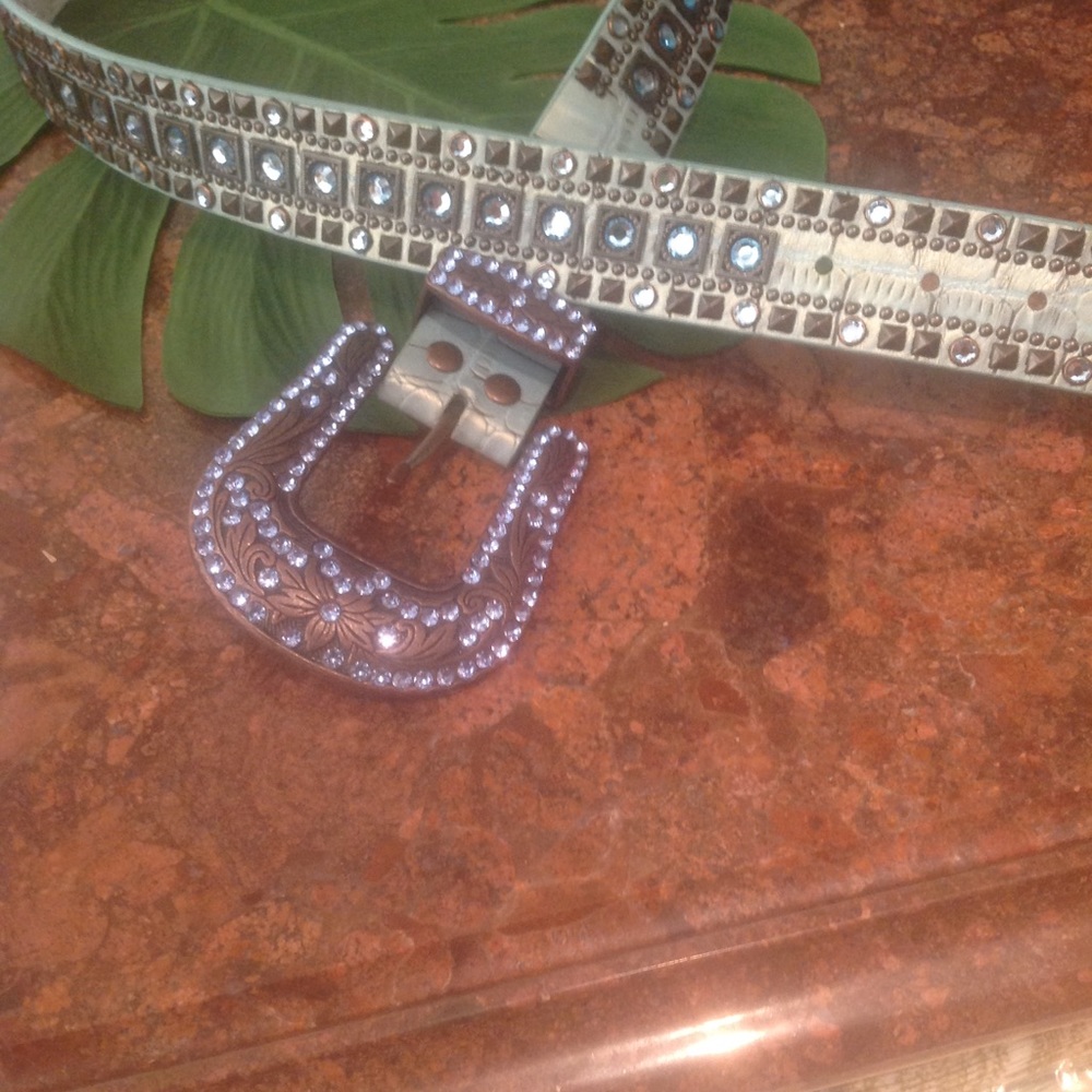 NWT aqua belt